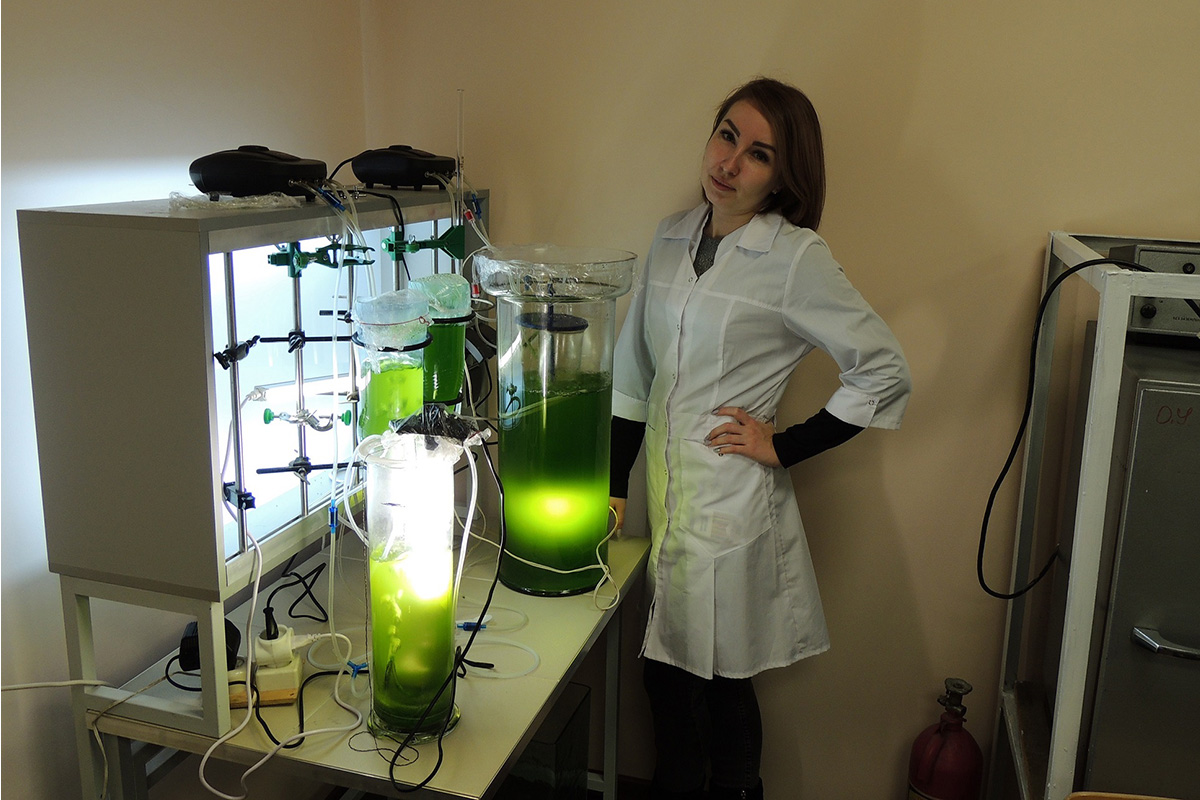  Científicos extraen pigmentos de algas para complementos alimenticios